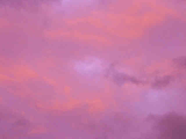 DSC07000.JPG
