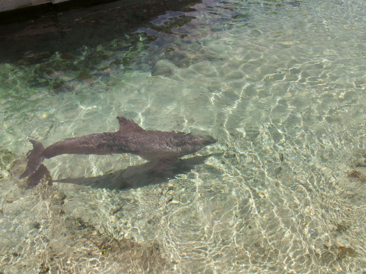 2006HAWAII07170007.JPG