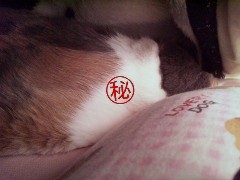 ���������~01.jpg