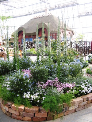 ８　寄せ植え.jpg