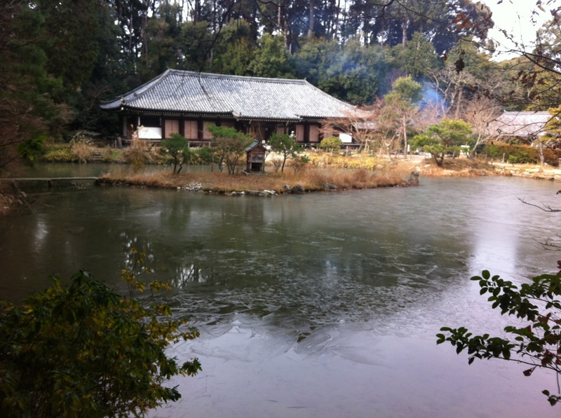浄瑠璃寺庭園.jpg