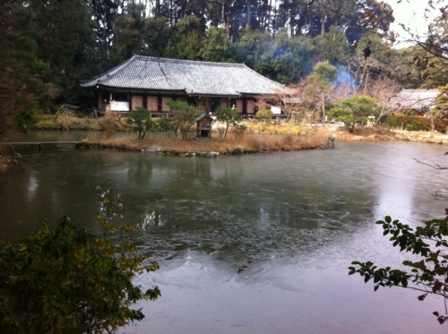 浄瑠璃寺庭園.jpg