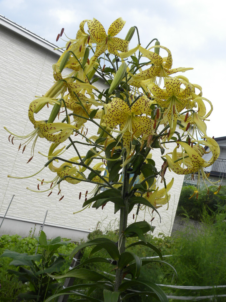 DSCN7944.JPG