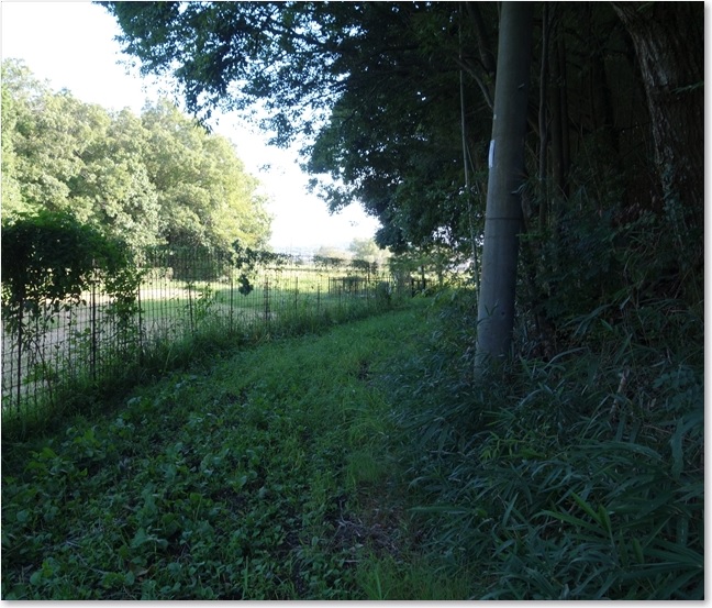 17行ってみます