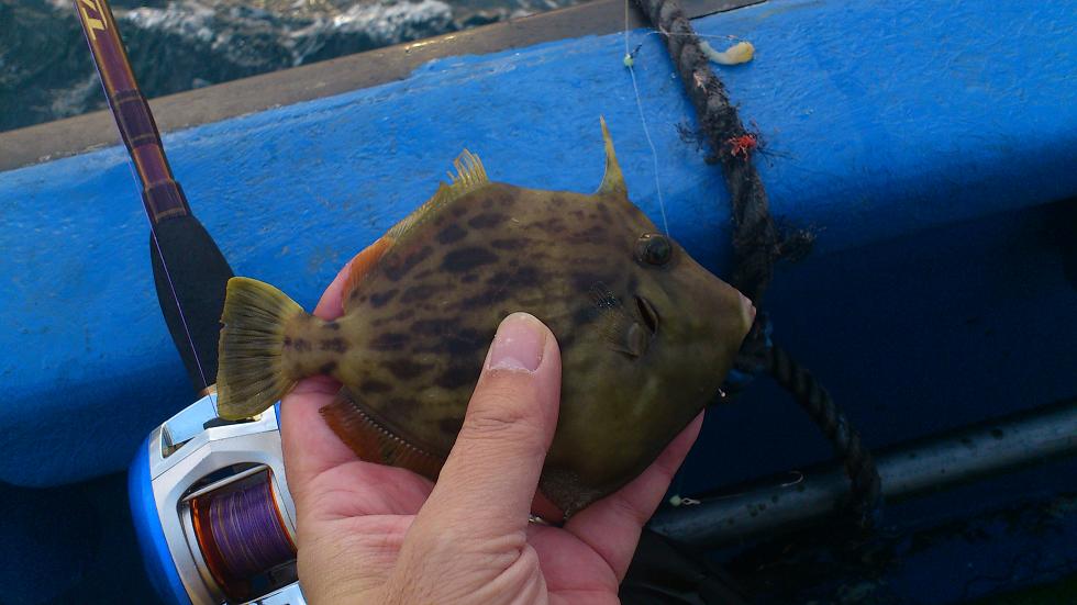 2012-12-01 07.29.19.jpg