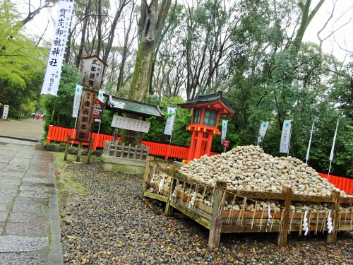 下加茂神社 (2).JPG