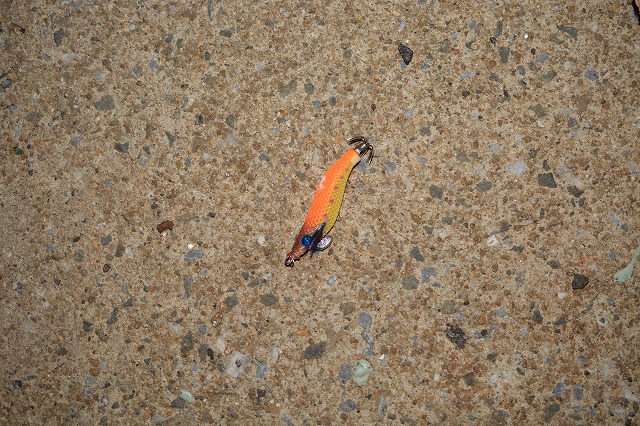 showPhoto (640×426)