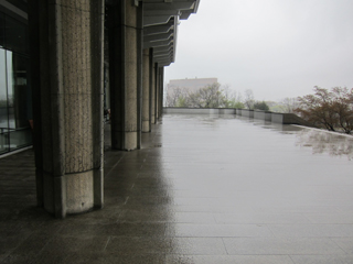 IMG_4223-1.JPG