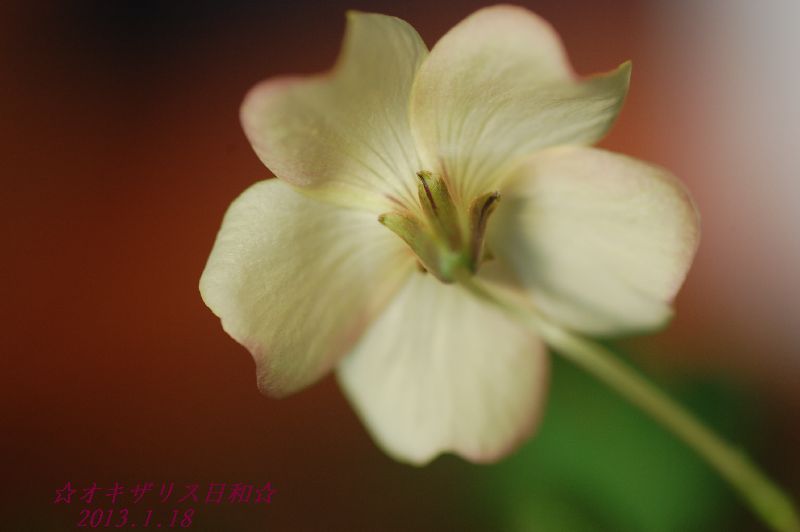 DSC_5984.JPG