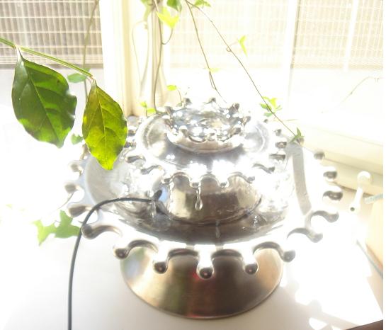 水のレメディ ３.JPG