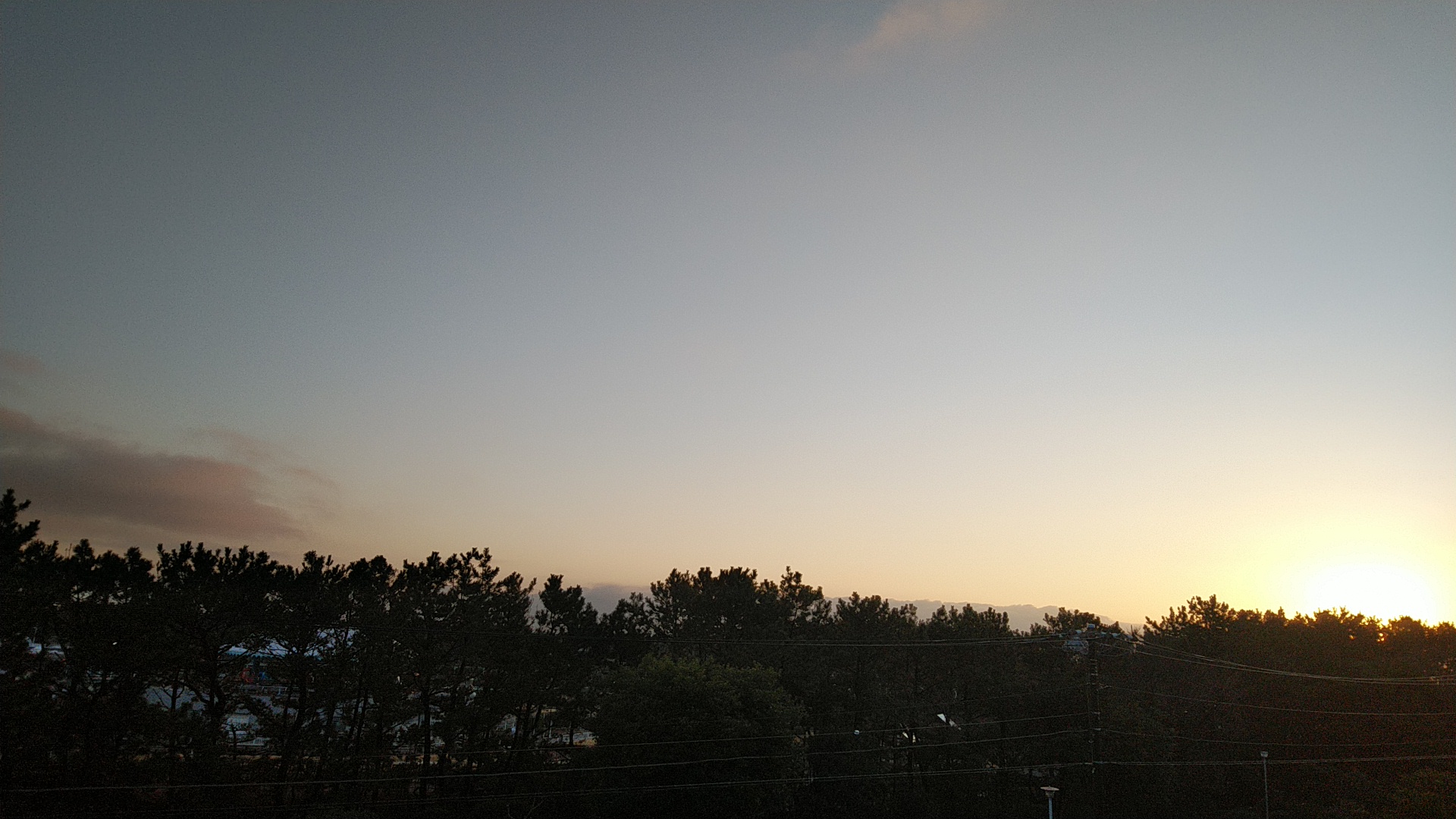 20190206  DSC_0002.jpg.jpg