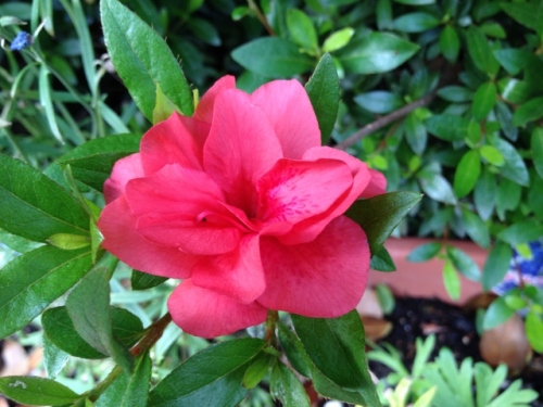 IMG_8934 (640x480).jpg