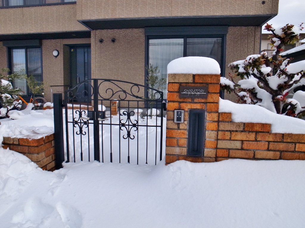 R0050793 (1024x768).jpg