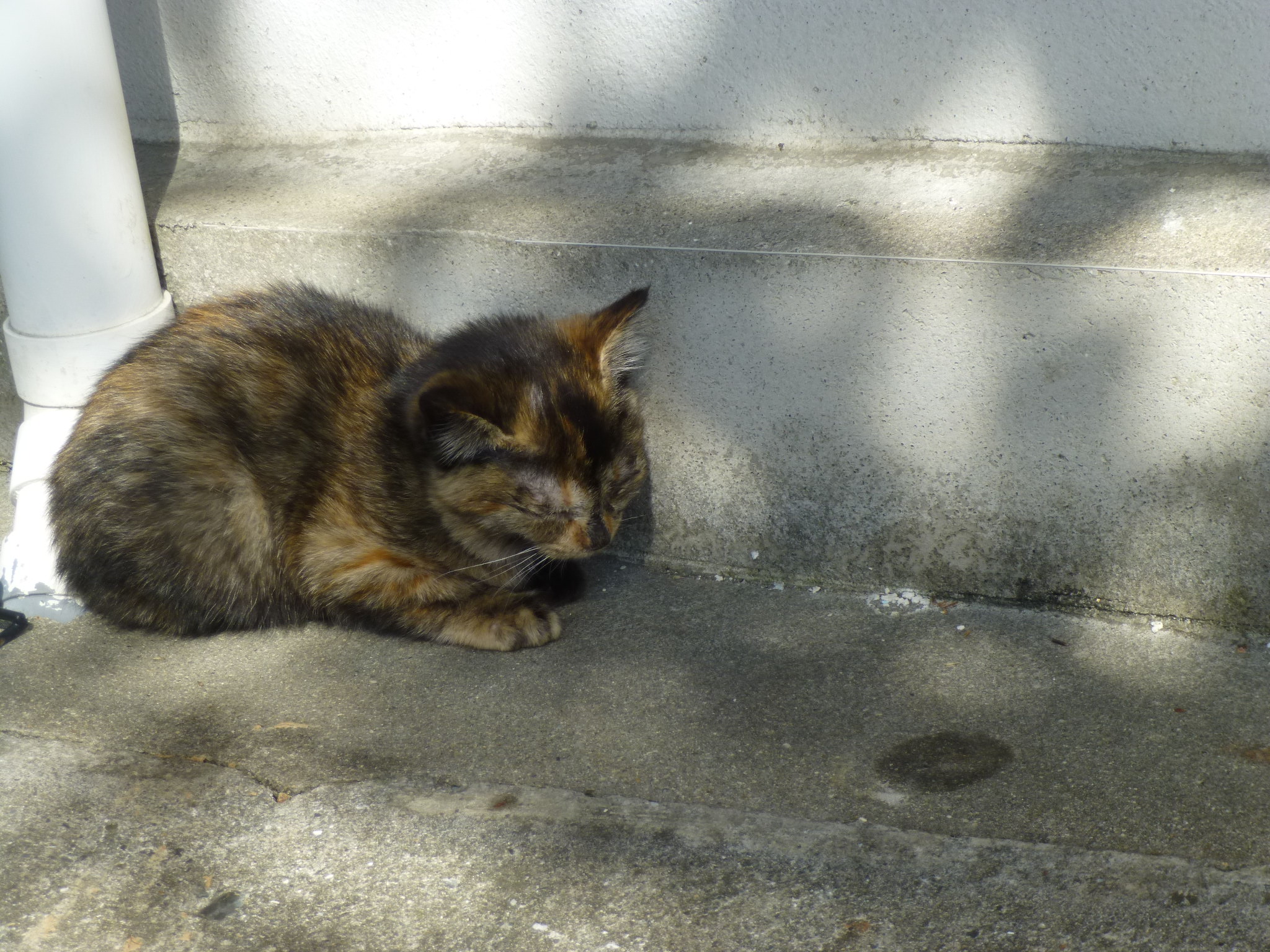 P1100324.JPG