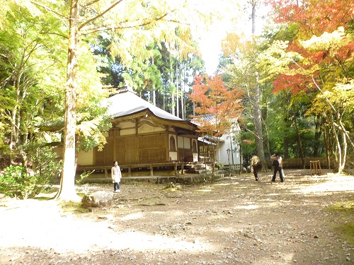 P1030416.jpg
