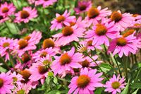 _DSC8804_R_R.JPG
