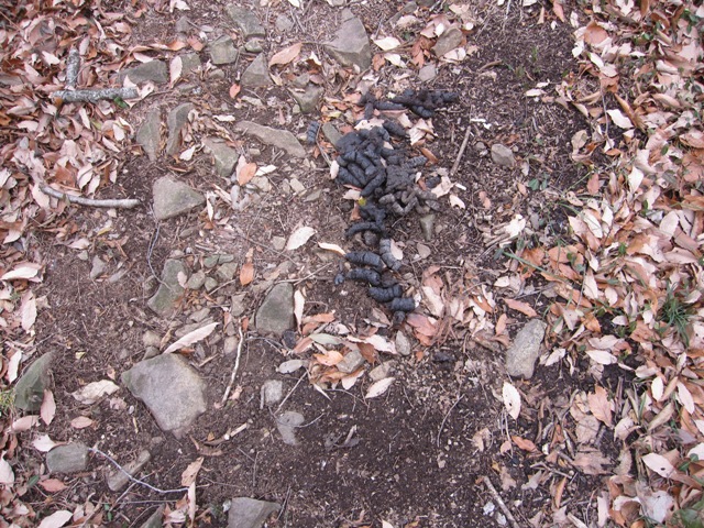 20150101-3.jpg