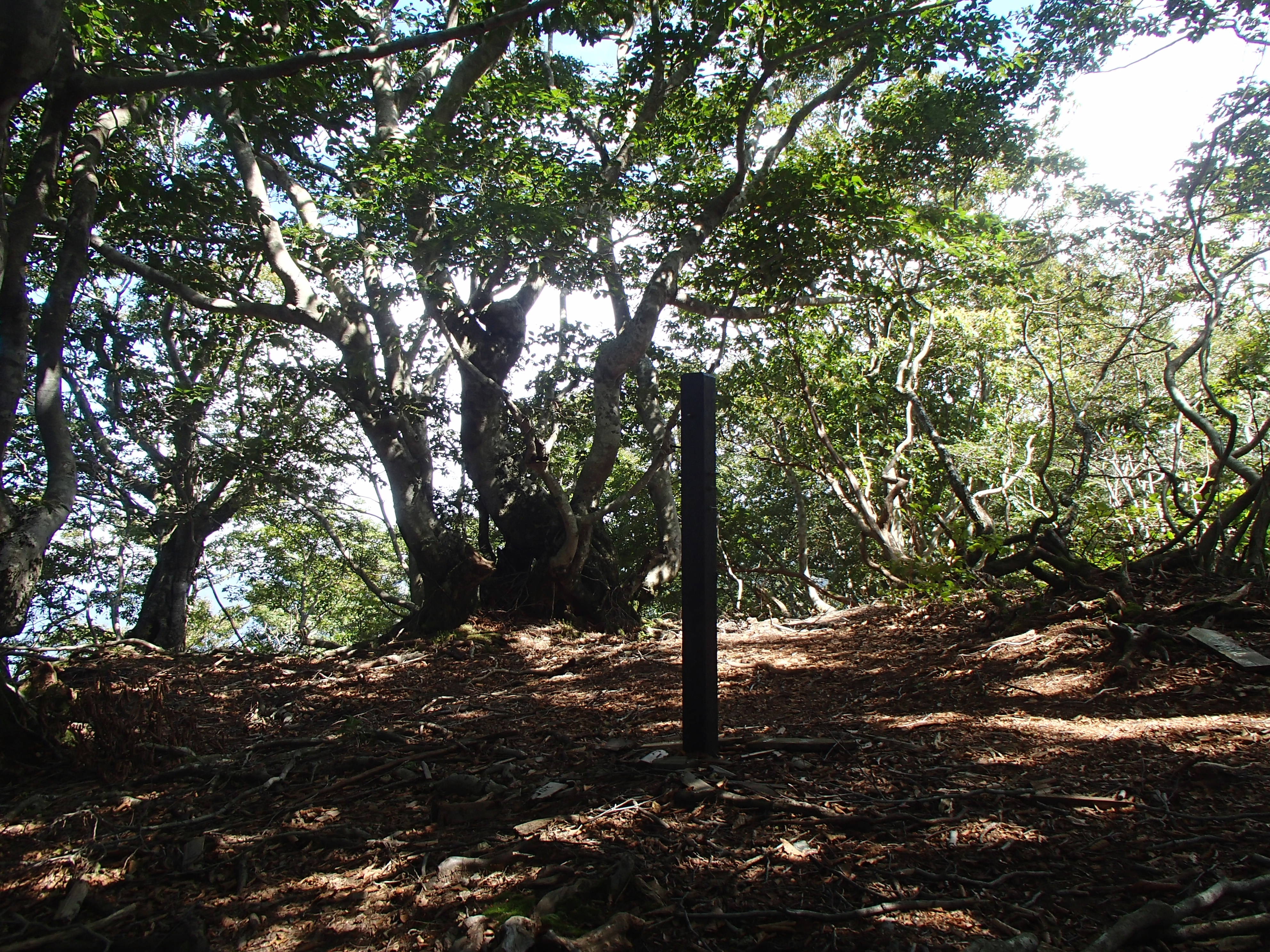 P9210295.JPG