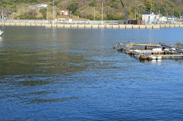 showPhoto (640×426)