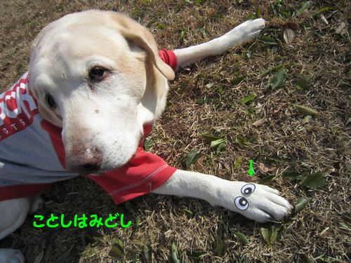 ことし１.jpg