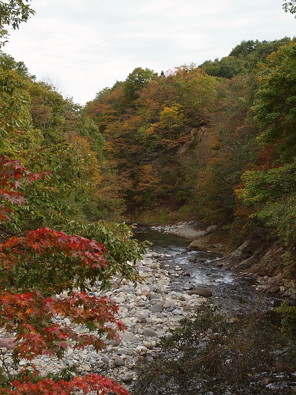 PA229646.JPG