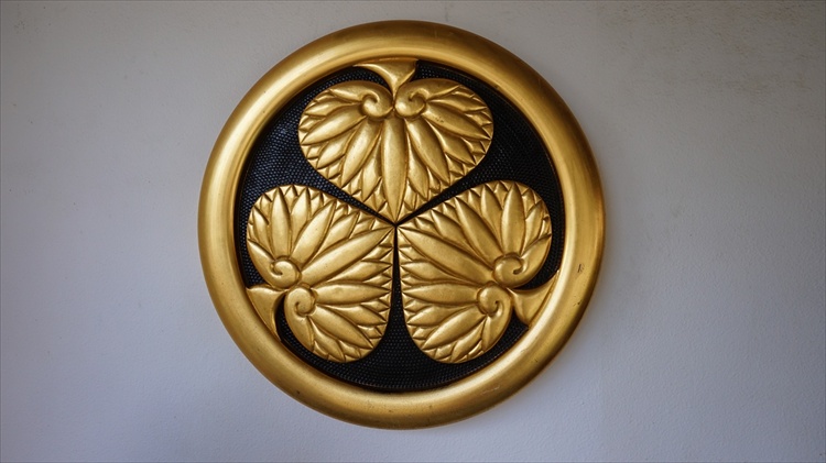 20151111 11515501.jpg