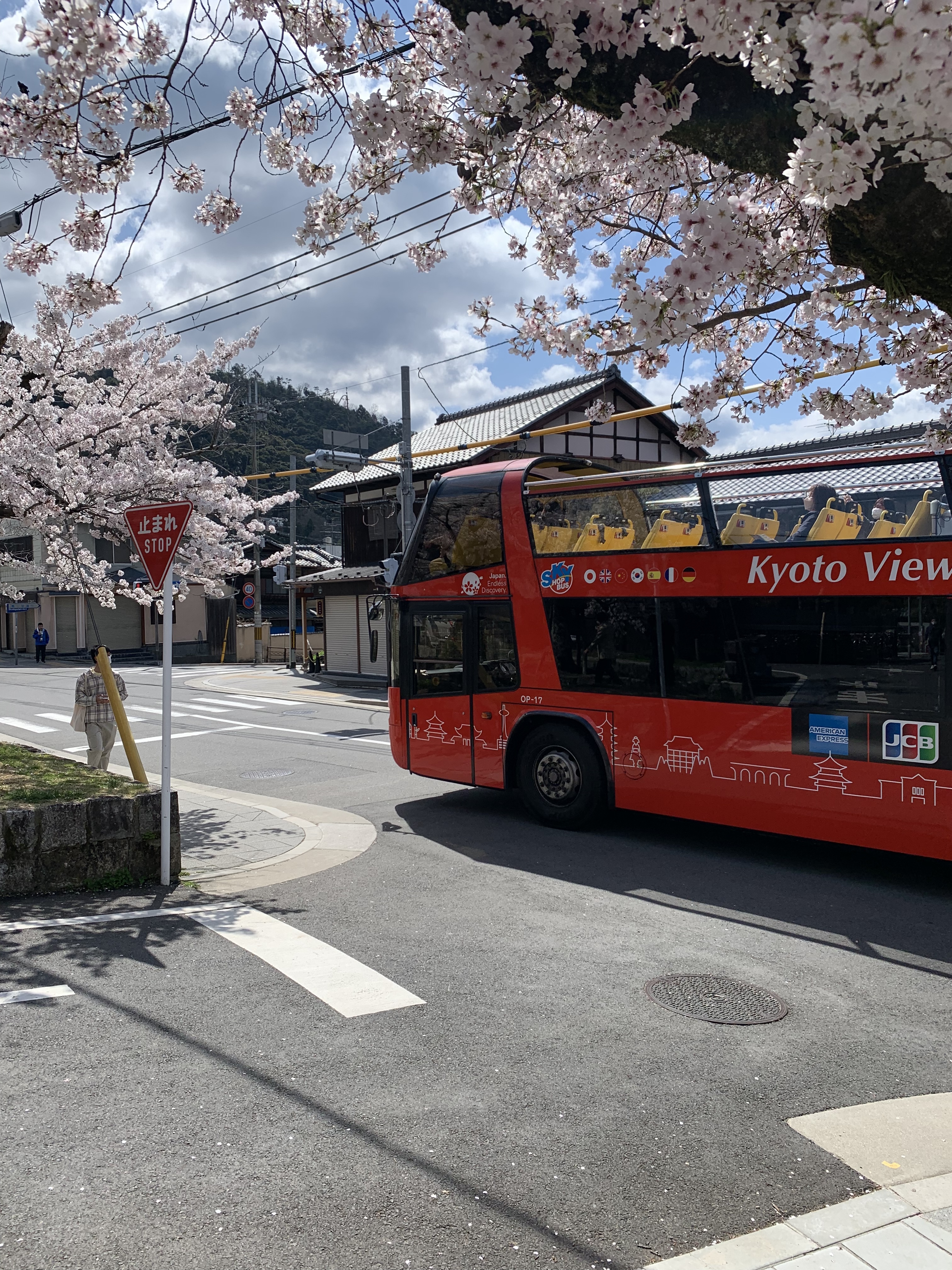 95C99D9F-0AEF-495F-906D-3221C1FD6457.jpeg