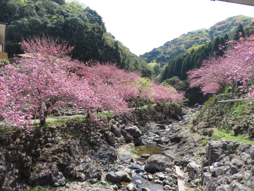 一心寺 (50).jpg