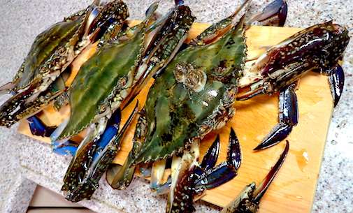 P7300555.JPG