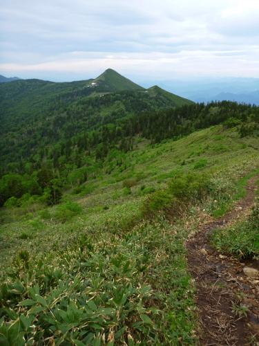 尾瀬　笠ケ岳201307073.jpg