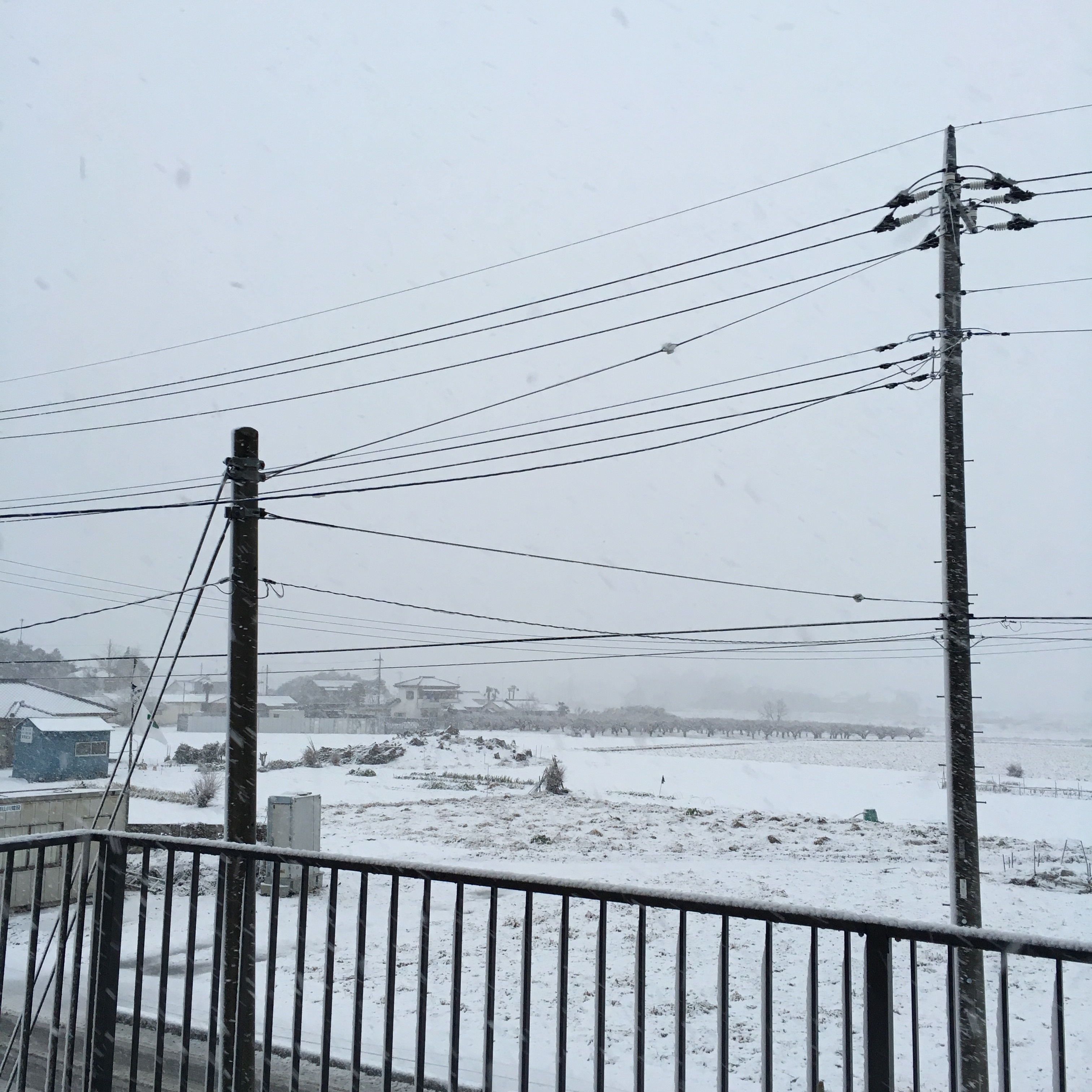 201601191920_6730_iphone.jpg