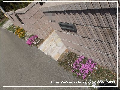 DSCF9329.JPG