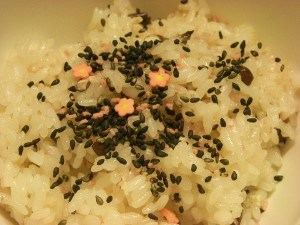 DSCN4544 (300x225).jpg