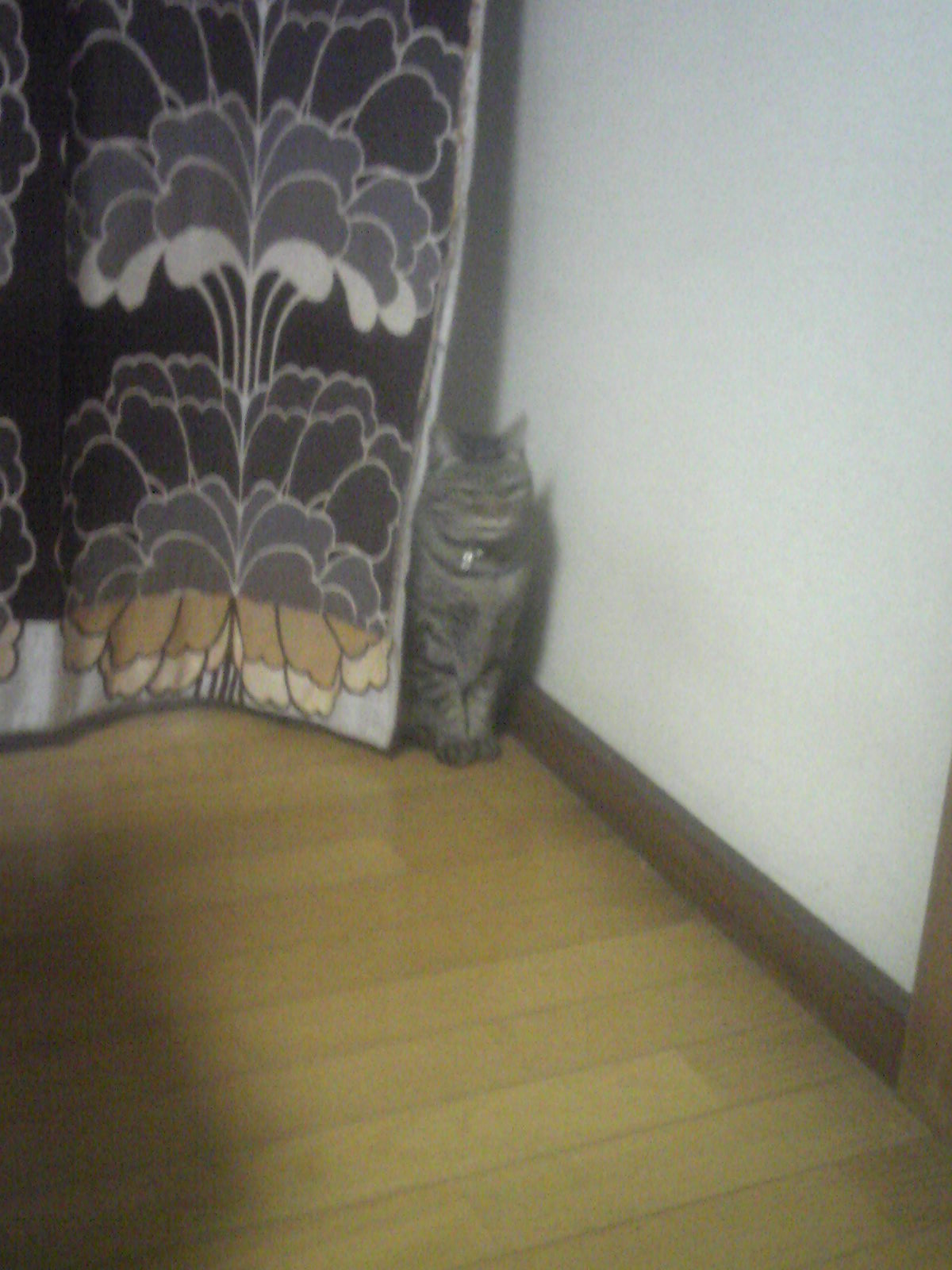 201130_123342.jpg