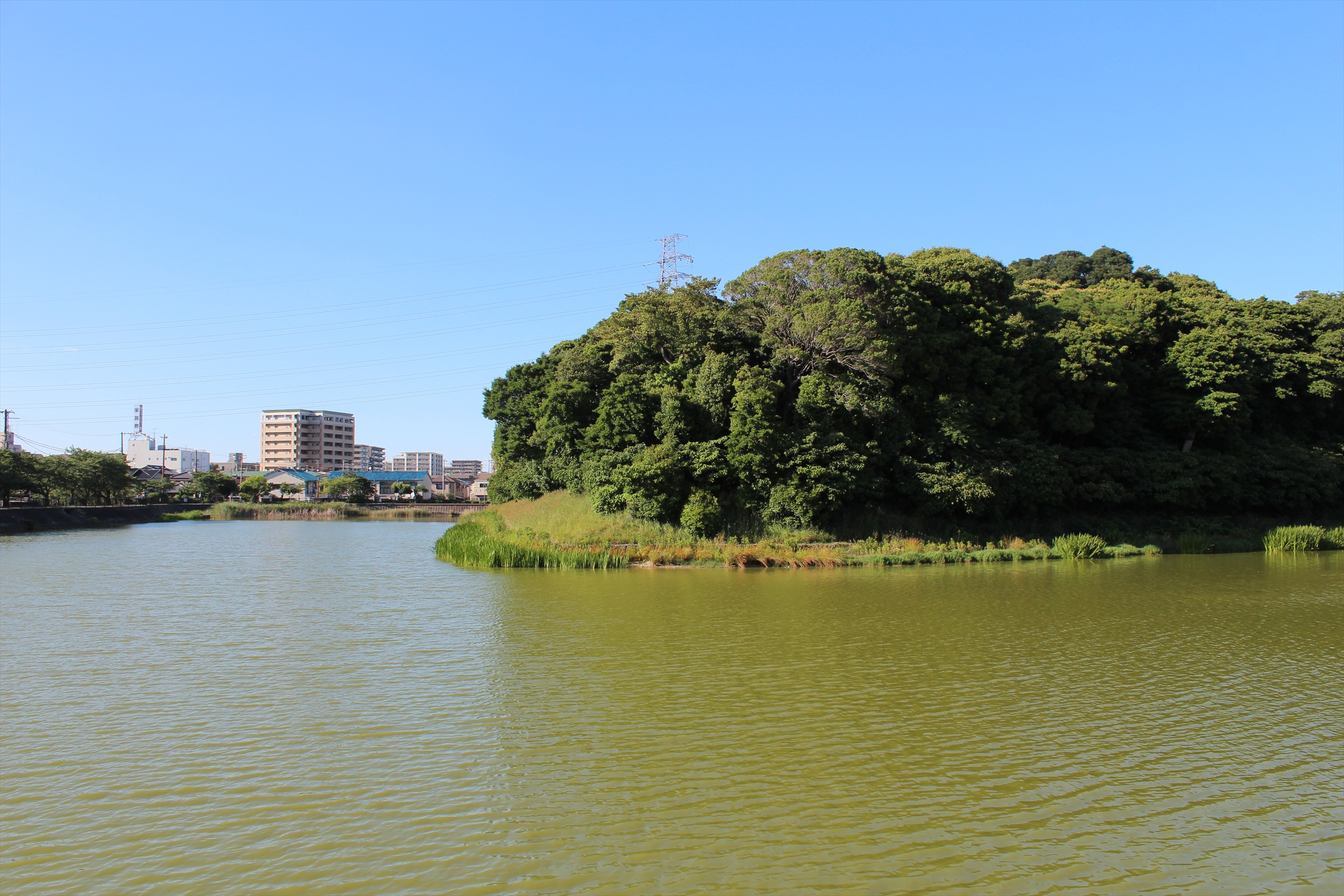 IMG_5414_R.JPG