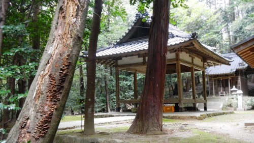 043三宮神社 (3).JPG