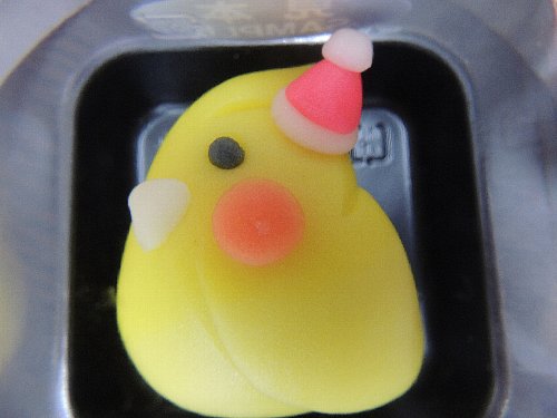 DSCN4068.JPG