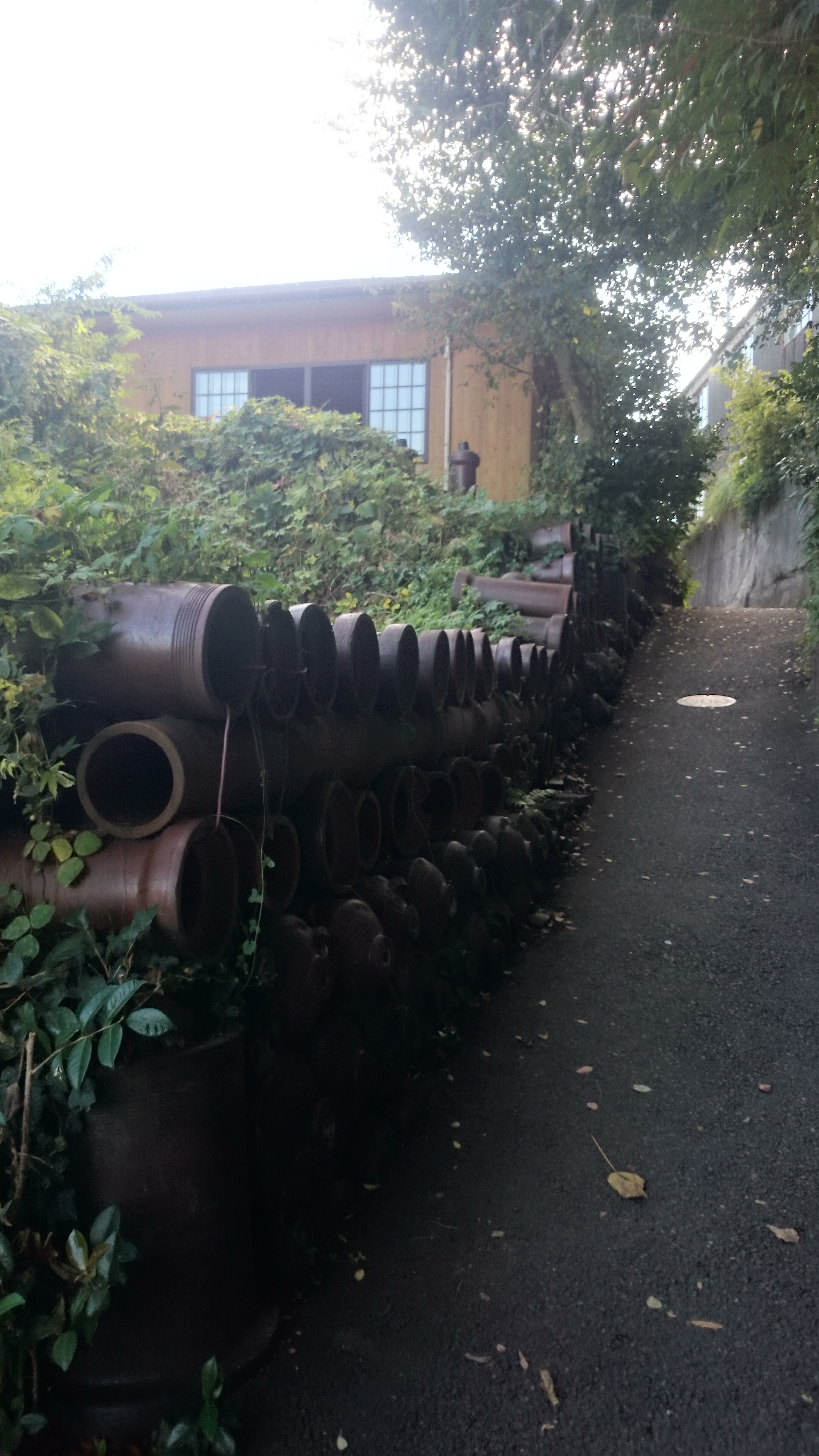 2015-11-05 13.15.24.jpg