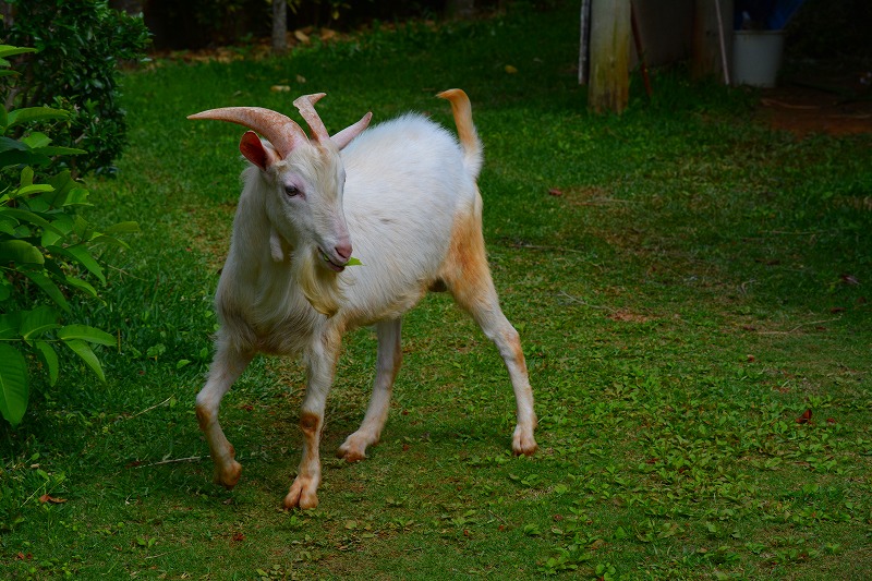 DSC_1210.jpg