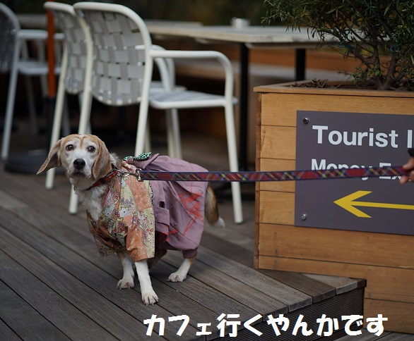 DSC01072.jpg