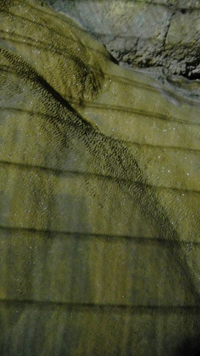 秋芳洞 (16)(V.2012_05_10__10_24_28).jpg