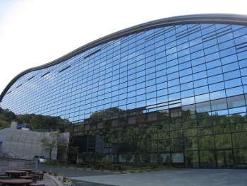 IMG_0452 (350x263).jpg