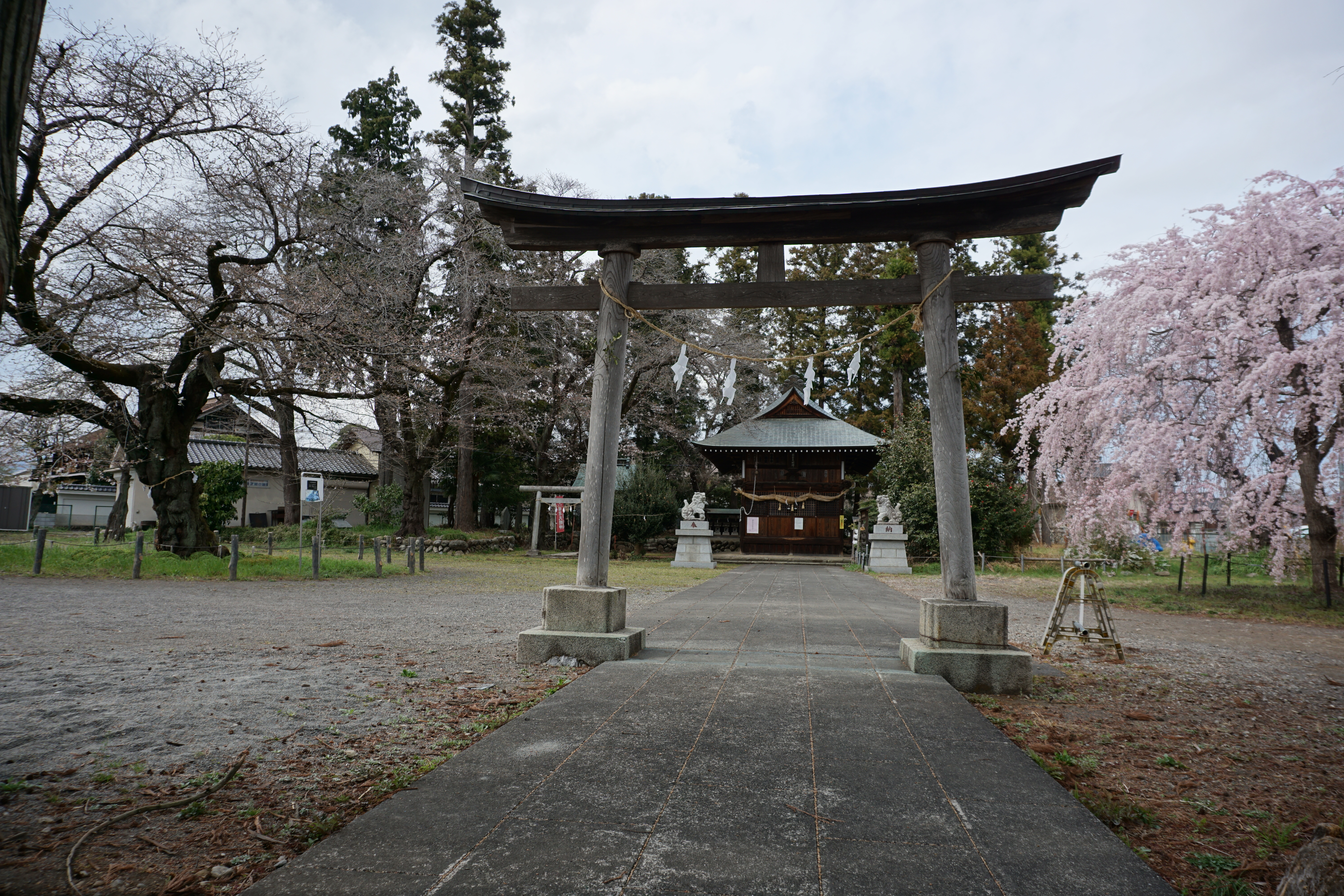 2025年3月1-6.JPG