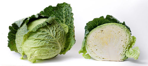 Cabbage_and_cross_section_on_white.jpg
