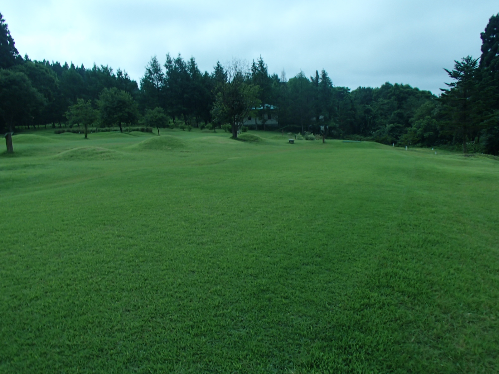P7291215.JPG