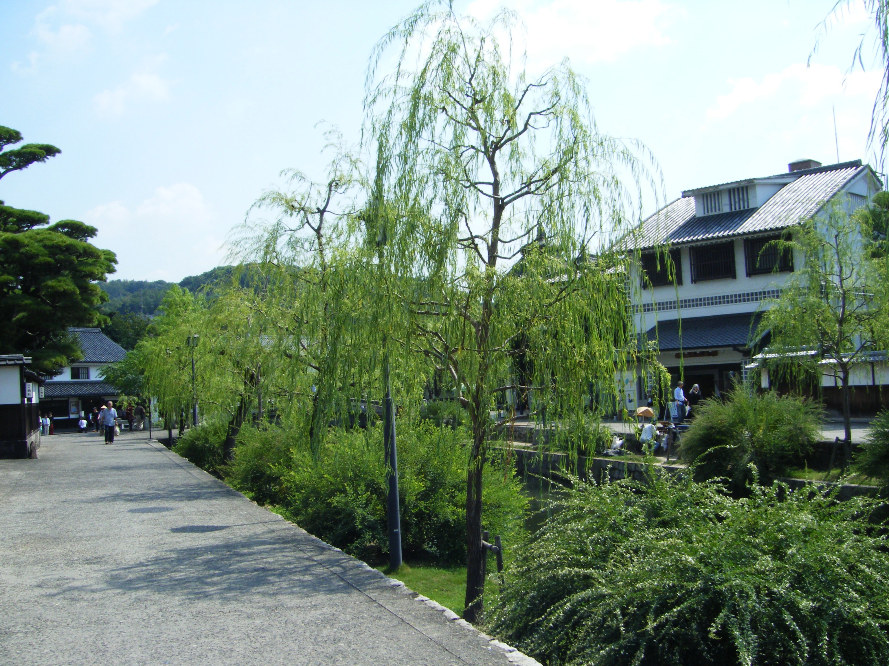 DSCF0616.jpg