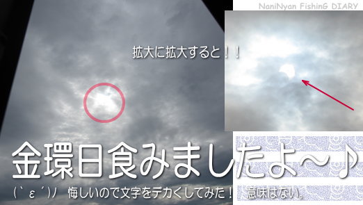 C:\fakepath\ｈ24.05金環日食を観察.jpg