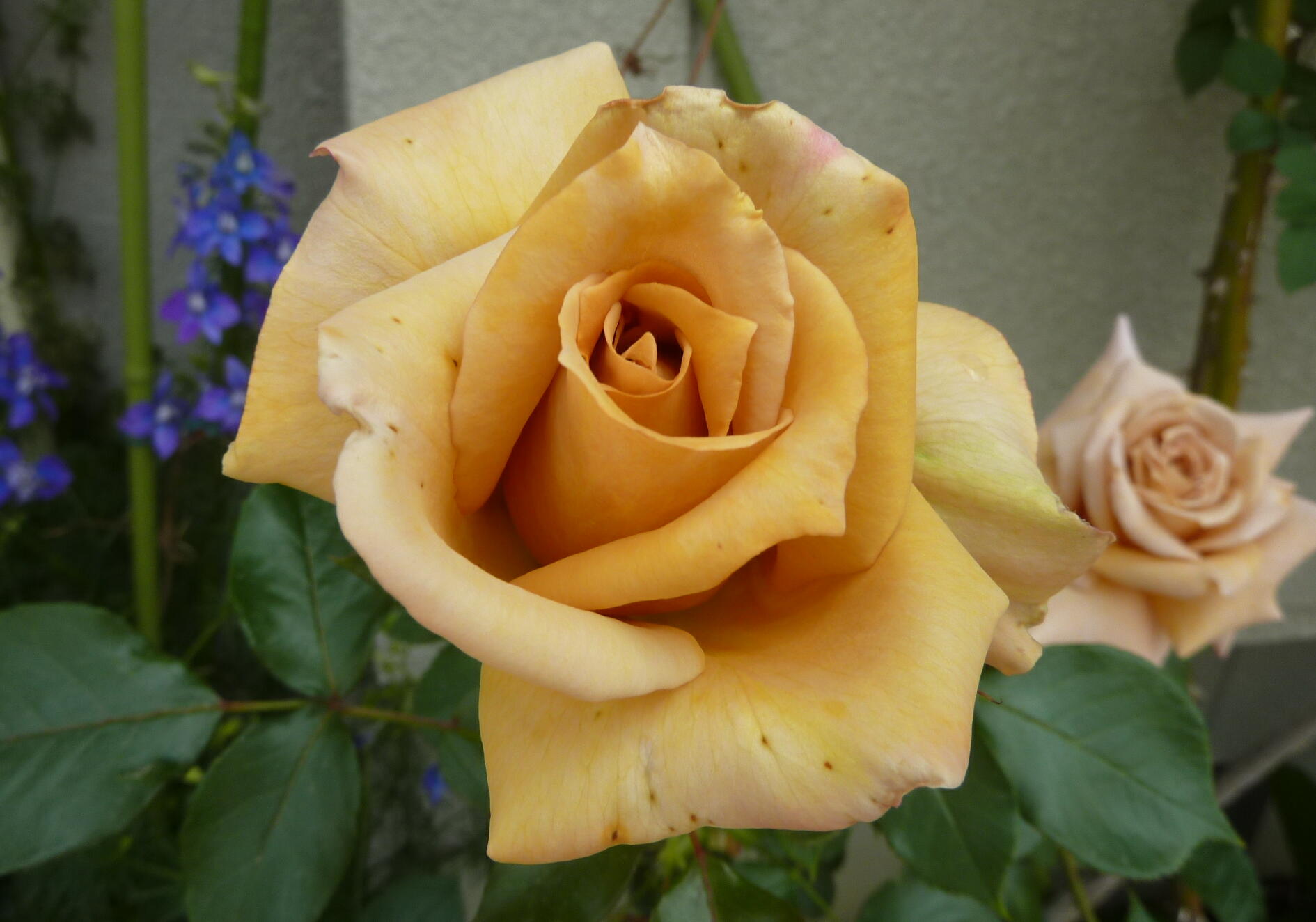 170515-4-2.jpg