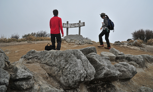 DSC_4508山頂の仲間たち.jpg