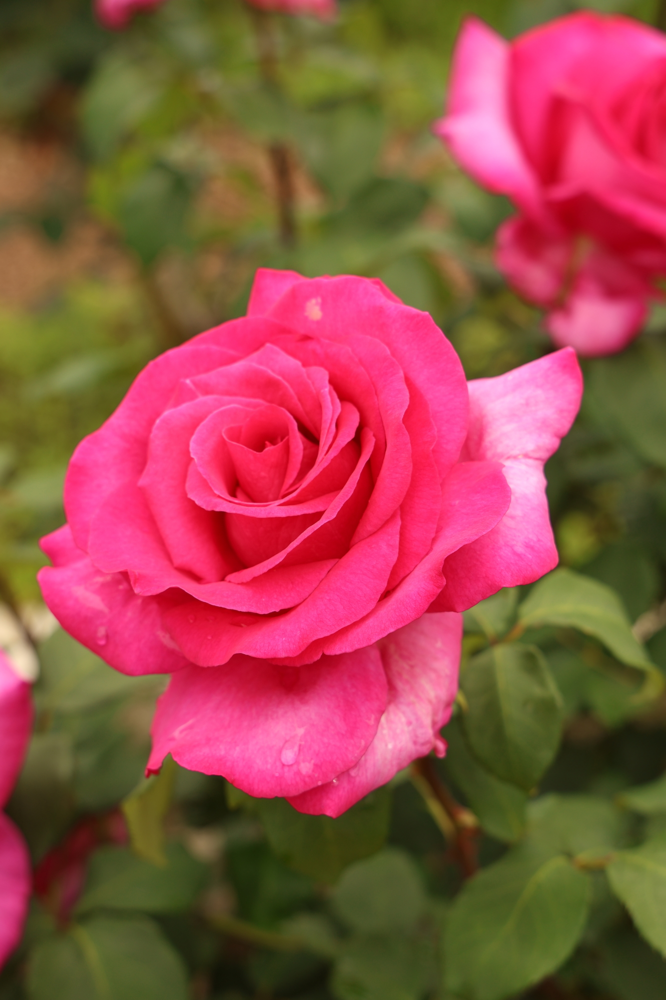 3Q9A8011.JPG